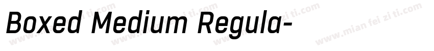 Boxed Medium Regula字体转换